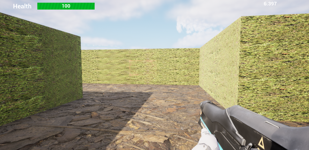 Portfolio Details - FPS Shooter